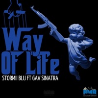 Way of Life (feat. Gav Sinatra) - Single - Stormii Blu