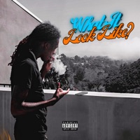 What It Look Like - Single - MaccMall
