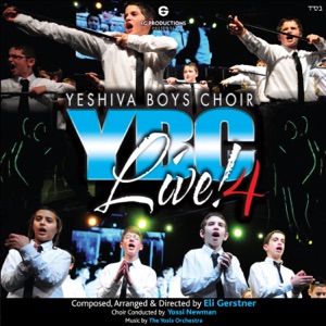 Baruch Haboh (feat. Eli Gerstner & Michoel Pruzansky) [Live]