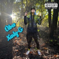 Vibes - Single - Narly-G
