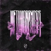 METAMORPHOSIS (Sped Up) - Single