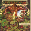 Morning Dance - Spyro Gyra