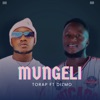 Mungeli (feat. Dizmo) - Single