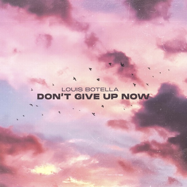 Don't Give Up Now - Single