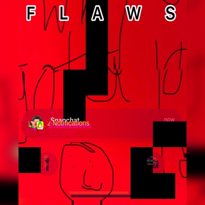 Flaws - Single