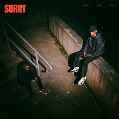 Sorry - Single