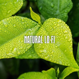 Natural Lo-fi (feat. Enea Poma & Francesca Zanotti)
