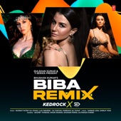 Biba Remix artwork