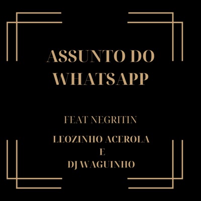 Assunto do Whatsapp (feat. MC NEGRITIN) - Single