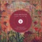 Come With Me - Sina Bathaie & Tibetania lyrics