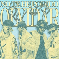 No Te He Podido Olvidar (Remix) - Single - Low Blu, AXHE & Johan V.