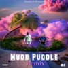 Mudd Puddle (Remix) [feat. Knowledge312] - Single