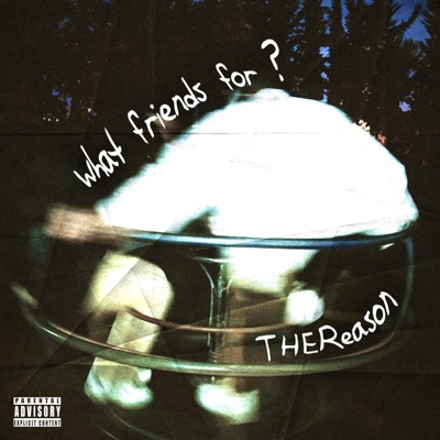 What Friends For ? (feat. Annah Mae) - Single