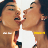 Houdini - Dua Lipa Cover Art