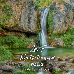 Roots-tronica Vol. 2 - EP