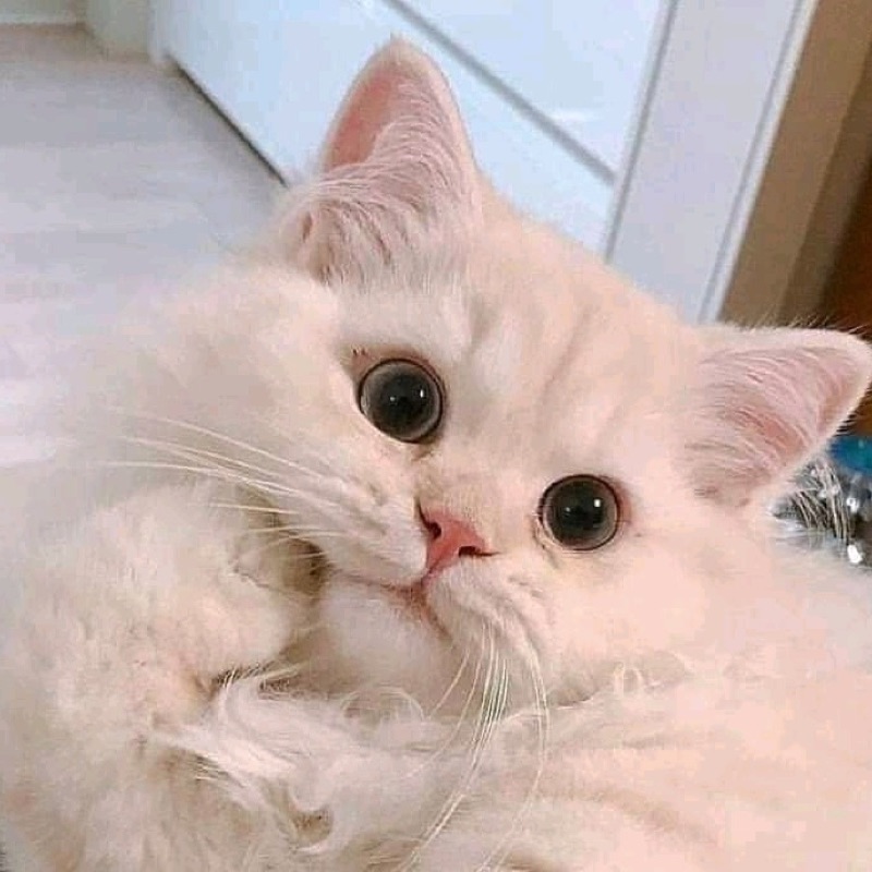 Subhan Allah (feat. Ali Dawud) [6D  slowed down]