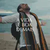 Thiago Reis - A Vida É Boa Demais