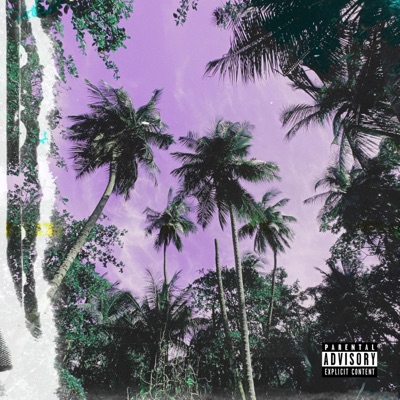 MEDICINA (feat. HASVEC) - Single