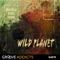 Wild Planet - Daniel Delaney & Warner Chappell Production Music lyrics