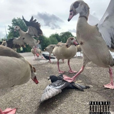 Backrooms (feat. 10KKASKET) - Single