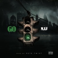 Go (Radio Edit) - Single - Mav & Pete Twist