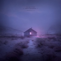 Dark Paradise - Single - dvw logic & XRIAN