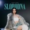 Slobodna artwork