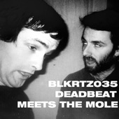 Deadbeat Meets the Mole artwork