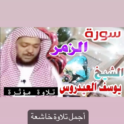 أمين طه العلمي - سورة الزمر كاملة تلاوة عطرة للشيخ يوسف العيدروس رفقا رفقا رفقا بقلوبنا يا شيخ