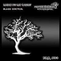 Blaze Control - Single - Random But Raw & Leeroy
