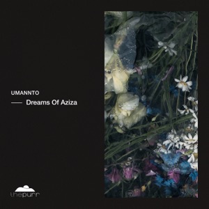 Dreams of Aziza - Single
