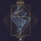 Fibonacci artwork