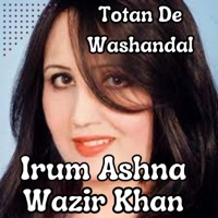 Totan De Washandal (feat. Wazir Khan) - Single - Irum Ashna