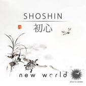 Shoshin (Extended Mix) artwork