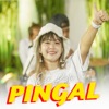 Pingal - Single