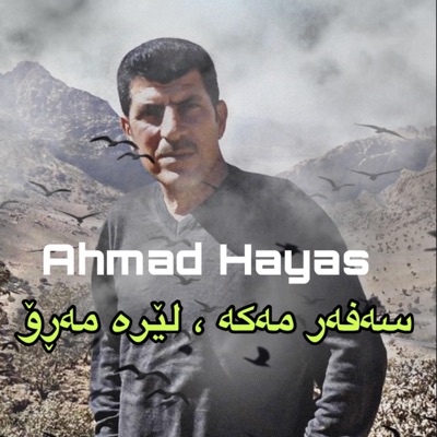 Ahmad Hayas - سەفەر مەکە لێرە مەڕۆ ئەحمەد هەیاس