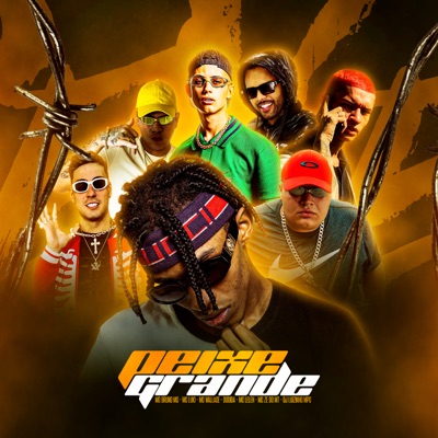 Peixe Grande (feat. Mc Wallace, Mc Ze do Mt, Dodida, MC Bruno MS, MC Leleh & MC Luki) - Single