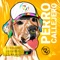 Perro Callejero - J.Valdez lyrics