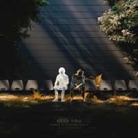 Need You - Single - Homem & Patrick Aretz