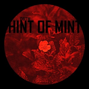 Hint of Mint - EP