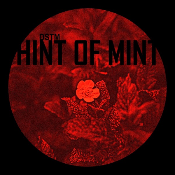 Hint of Mint - EP