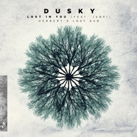 Lost In You (feat. Janai) [Herbert's Lost Dub] - Single - Dusky