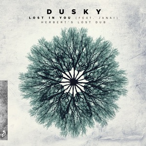 Lost In You (feat. Janai) [Herbert's Lost Dub] - Single