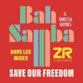Save Our Freedom (Dave Lee Let Freedom Reign Mix) [feat. Vanessa Haynes] artwork