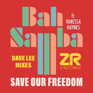 Save Out Freedom (Dave Lee Mixes) [feat. Vanessa Haynes] - Single
