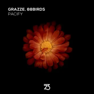 Pacify (Piano Mix) by GRAZZE & 88Birds song reviws