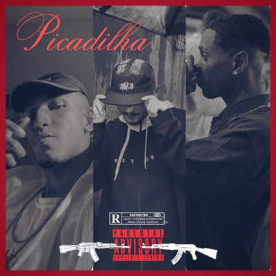 Picadilha (feat. YSD BN & Vtzin) - Single