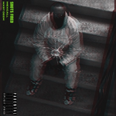 Shots Fired - Single