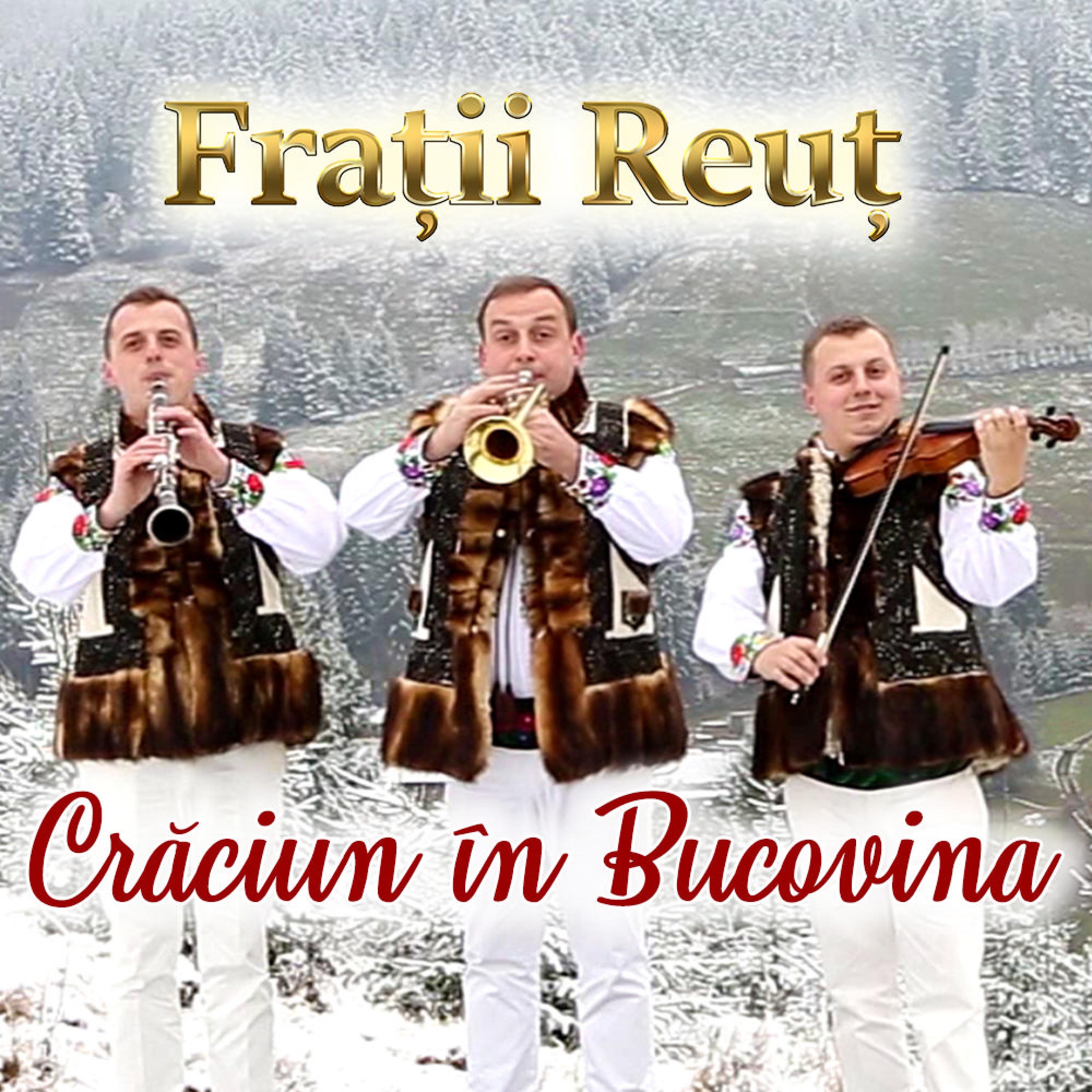Craciun in Bucovina - Single