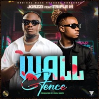 Wall Fence (feat. Triple M) - Single - Jorzzi